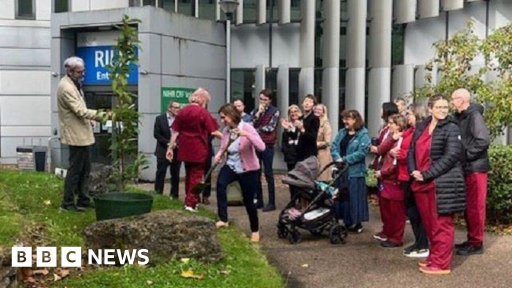 Devon hospitals plant trees for colleagues lost to suicide